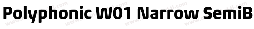 Polyphonic W01 Narrow SemiBold字体转换